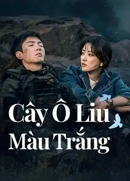 Cây Ô Liu Màu Trắng